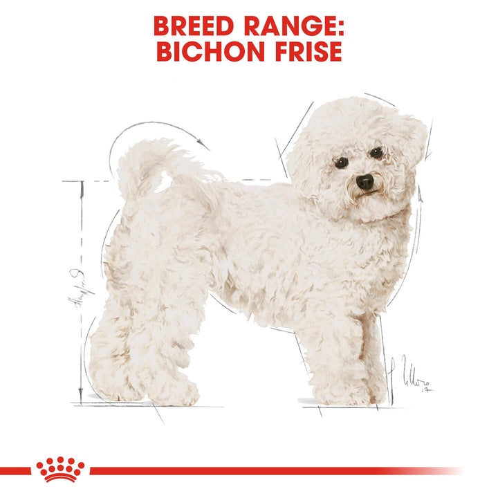 Royal Canin breed range: Bichon Frise