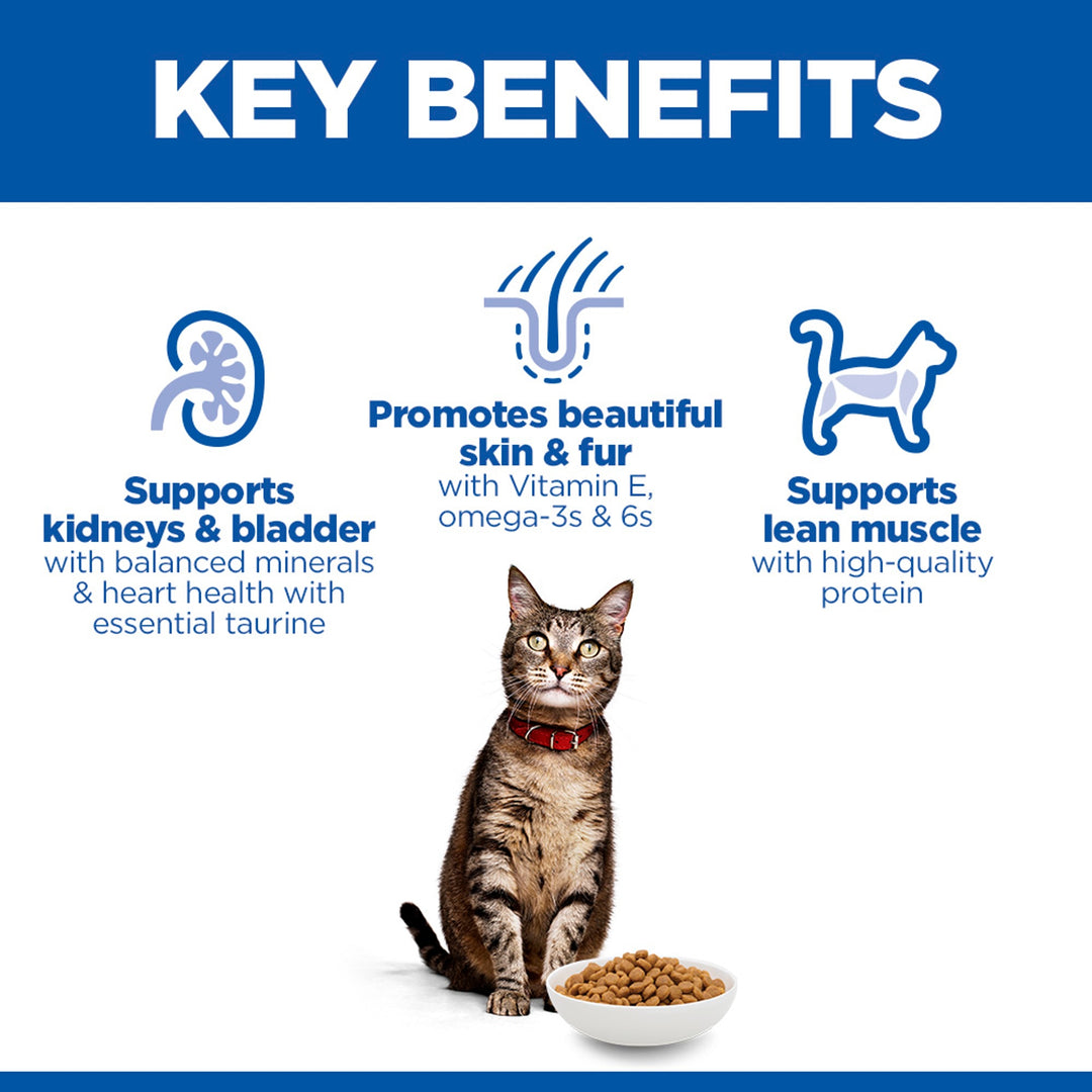 Hill's Science Plan Adult cat food with chicken key benefits: kidneys and bladder, skin and fur, lean muscle