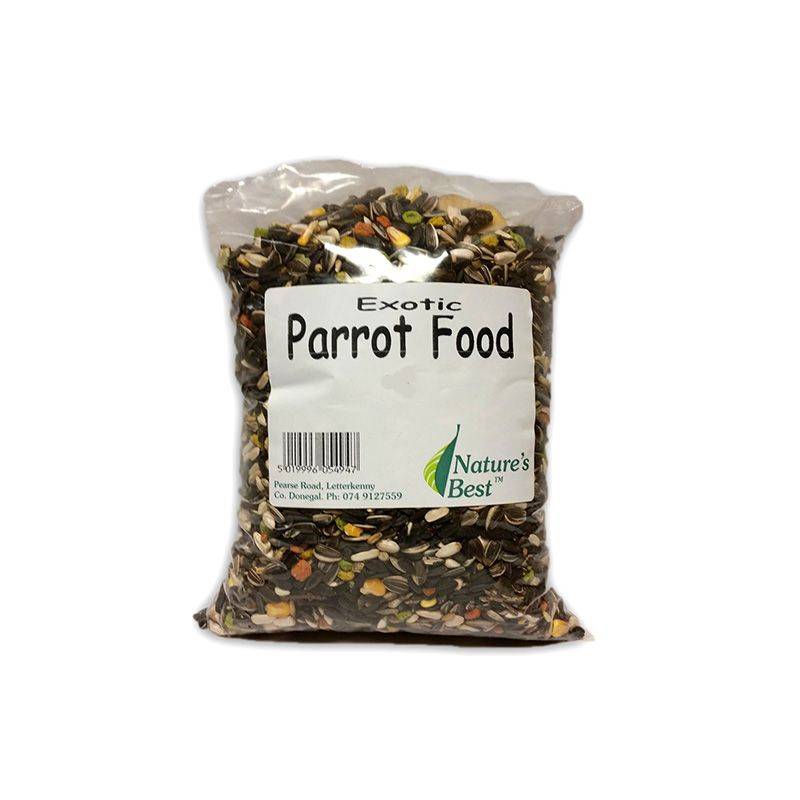 exotic parrot food