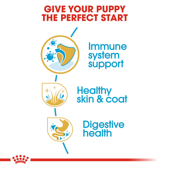Royal Canin Golden Retriever Puppy benefits: immune system support, healthy skin and coat, digestive health