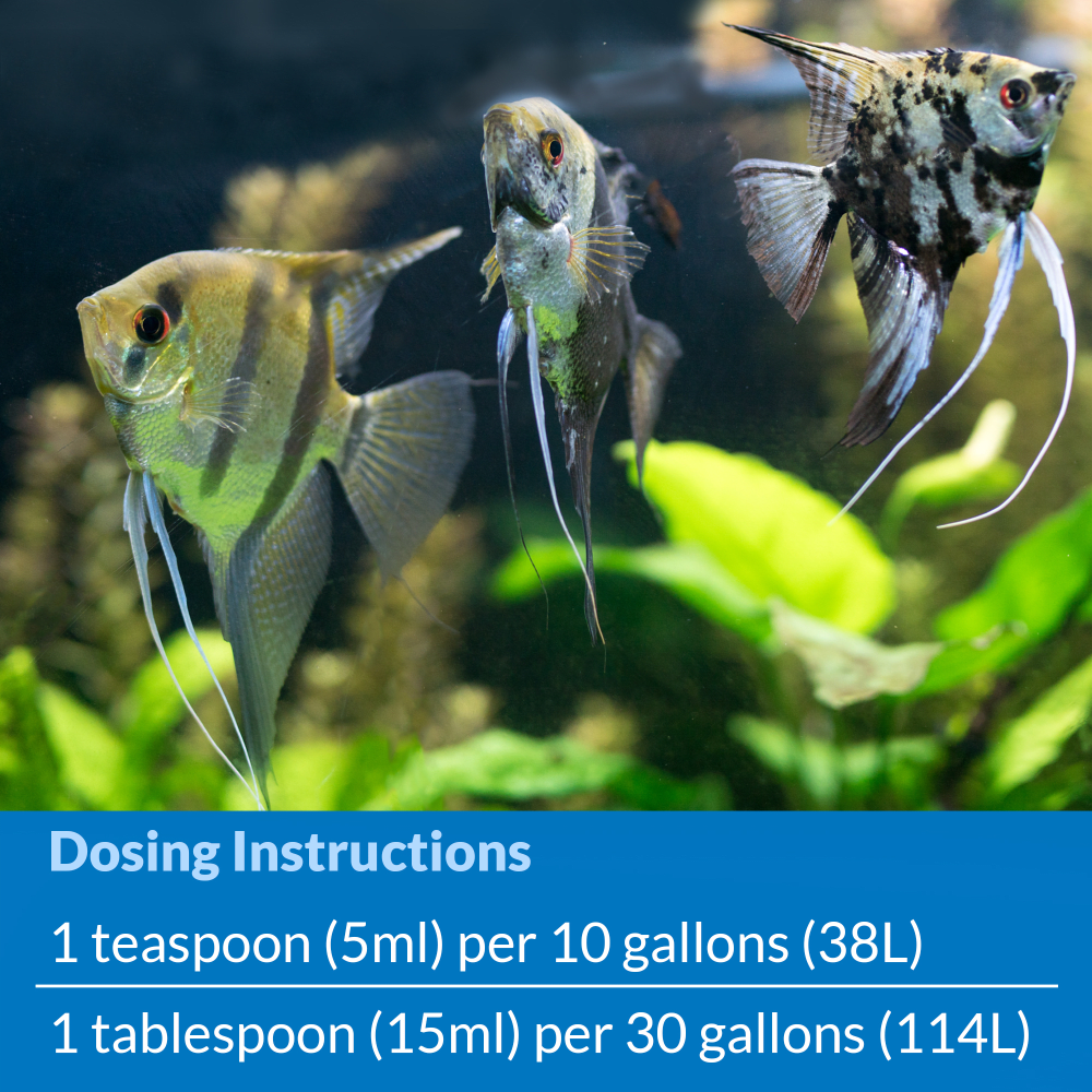 API Stress Coat dosing instructions: 5ml per 38 litres, 15ml per 114 litres