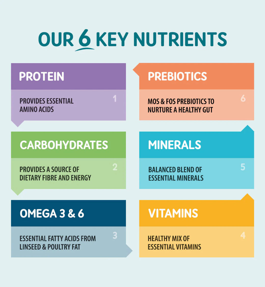 6 Key Nutrients