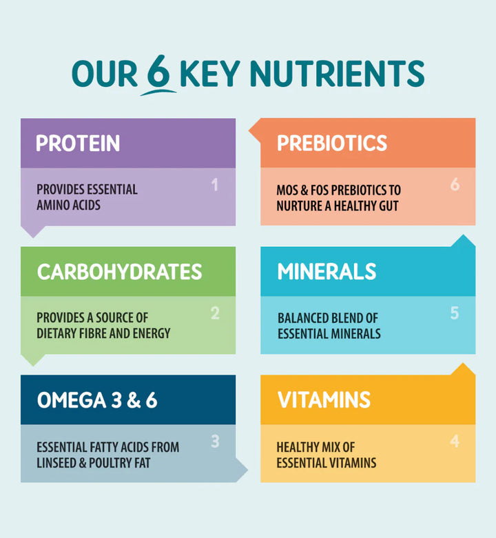 6 Key Nutrients