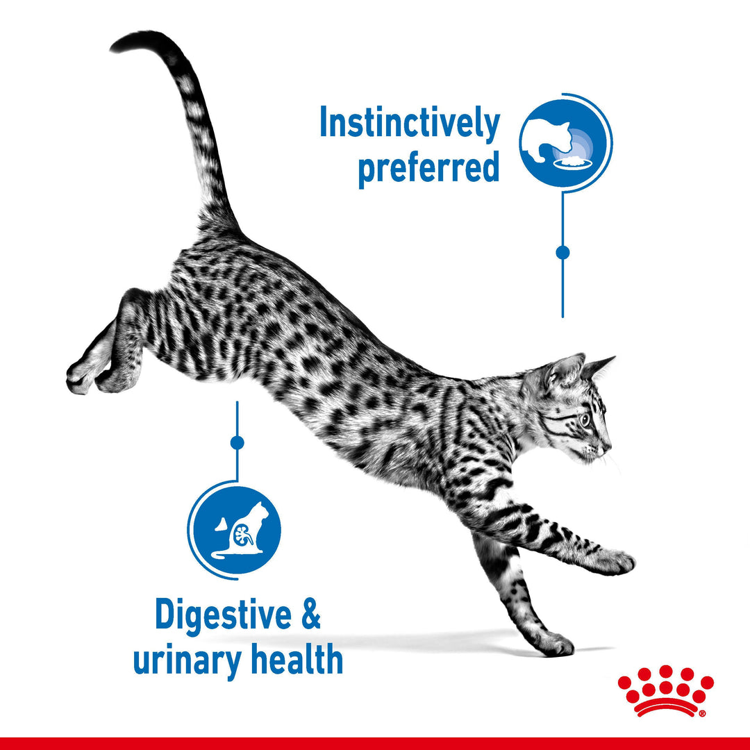 Royal Canin Indoor Sterilised in Gravy benefits: instinctively preferred, digestive and urinary health