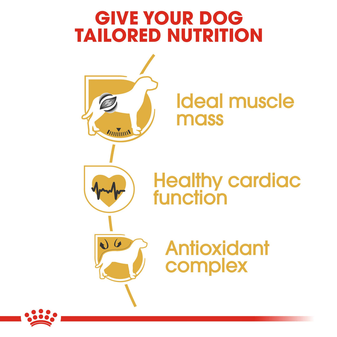 Royal Canin Boxer Adult benefits: ideal muscle mass, healthy cardiac function, antioxidant complex