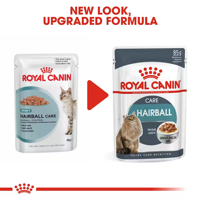 Royal Canin Hairball Care cat food 
