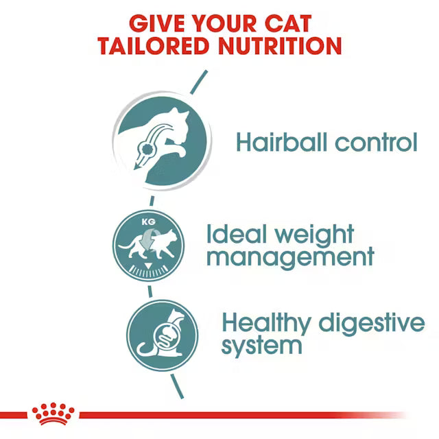 Cat nutrition infographic 