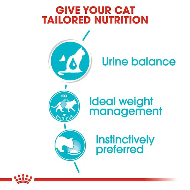 Diagram of cat nutrition benefits 