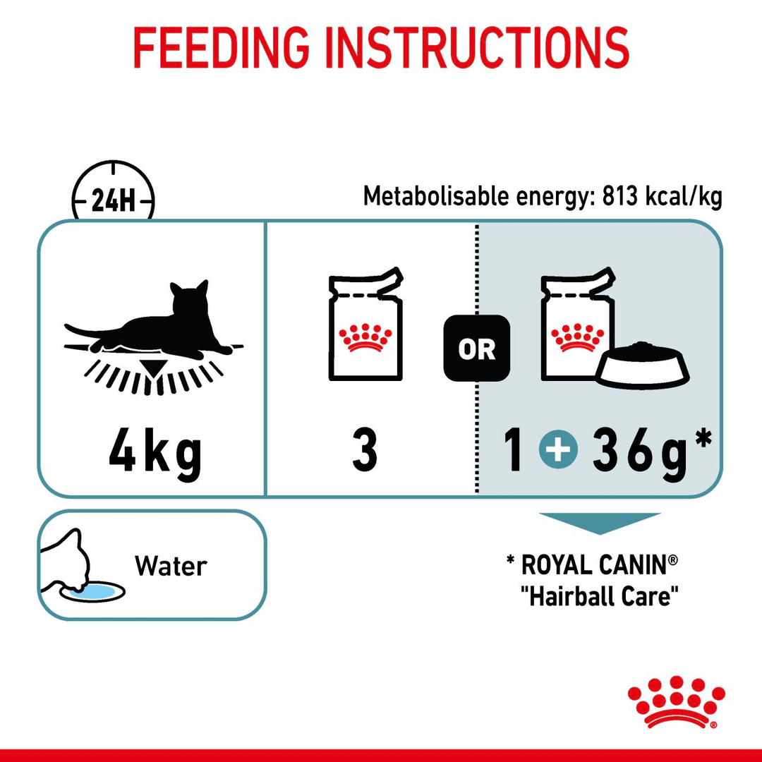 Royal Canin Hairball Care in Jelly feeding instructions for a 4kg cat