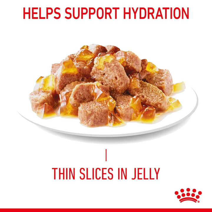 Royal Canin Light Weight Care thin slices in jelly texture
