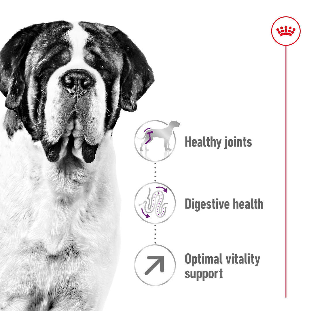 Royal Canin Giant Adult benefits: healthy joints, digestive health, optimal vitality support