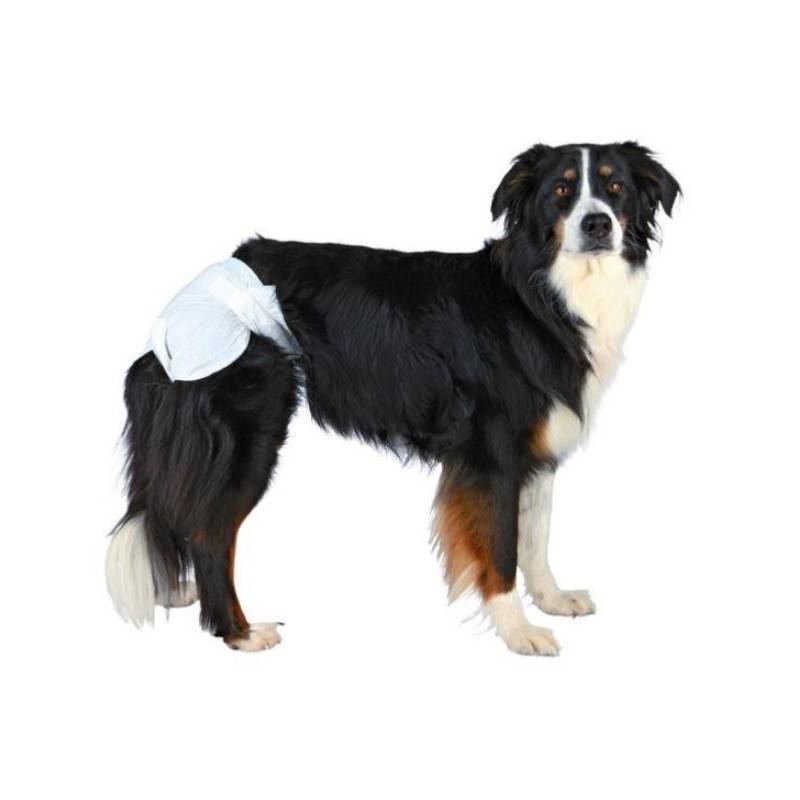 Trixie Diapers For Female Dogs x 12 - PetWorld