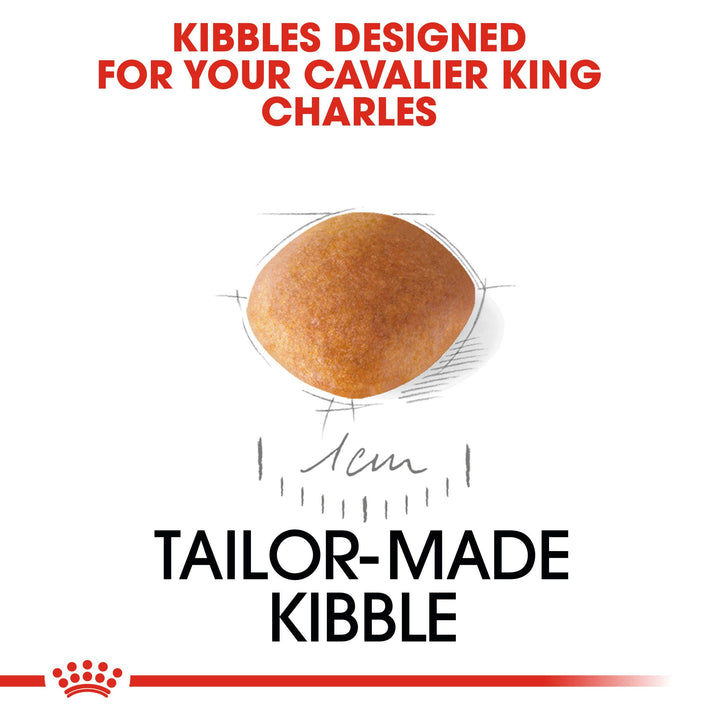 Royal Canin Cavalier King Charles Puppy tailor made kibble designed for the breed