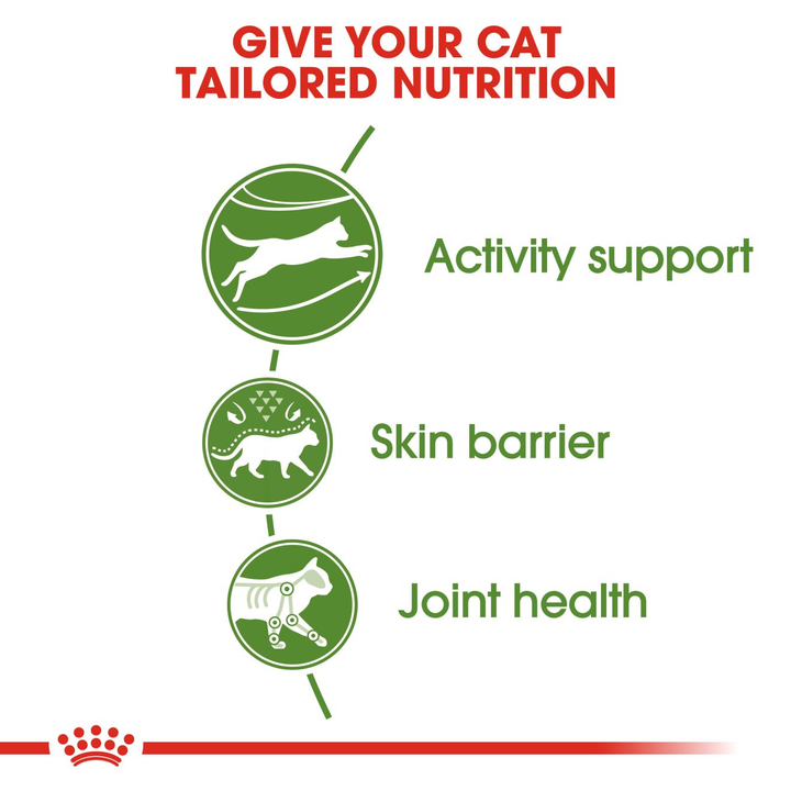 Royal Canin Outdoor benefits: activity support, skin barrier, joint health