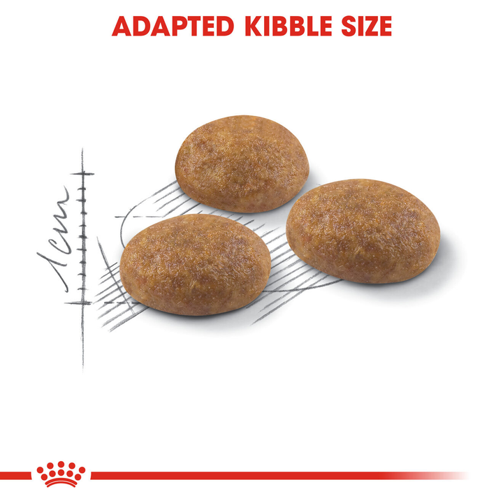 Royal Canin Outdoor adapted kibble size close up