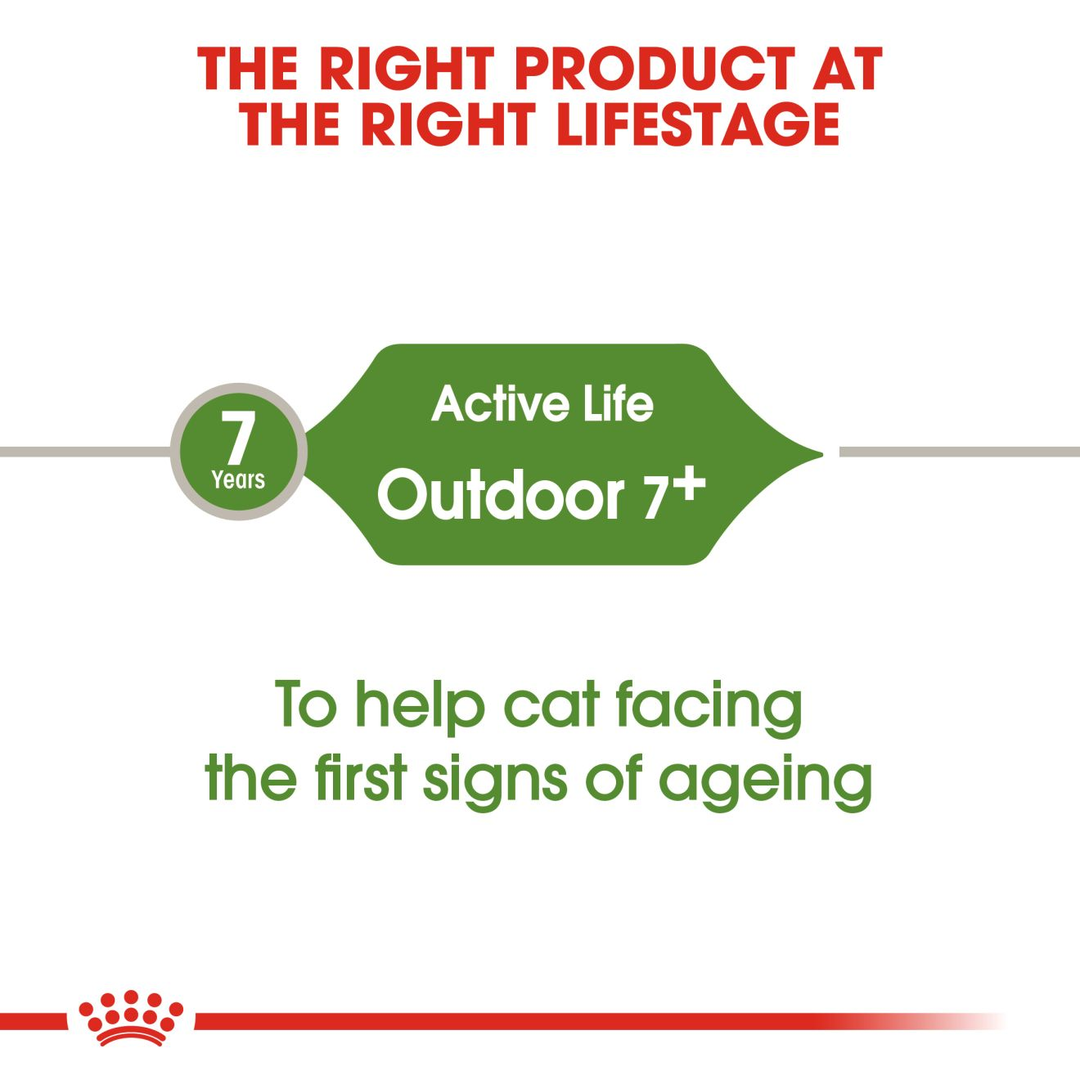 Royal Canin Outdoor 7+ for active cats from 7 years facing the first signs of ageing