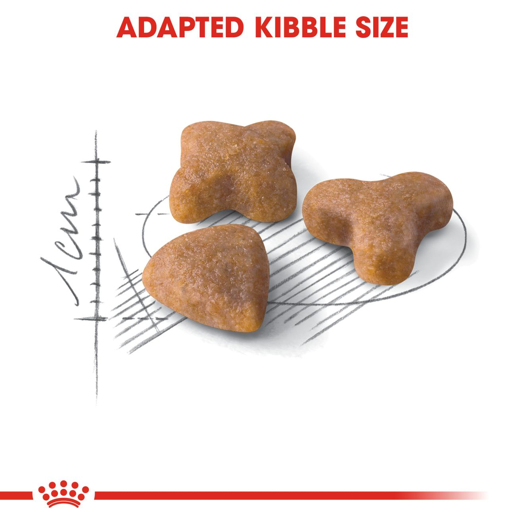 Royal Canin Sensible 33 three kibble shapes close up