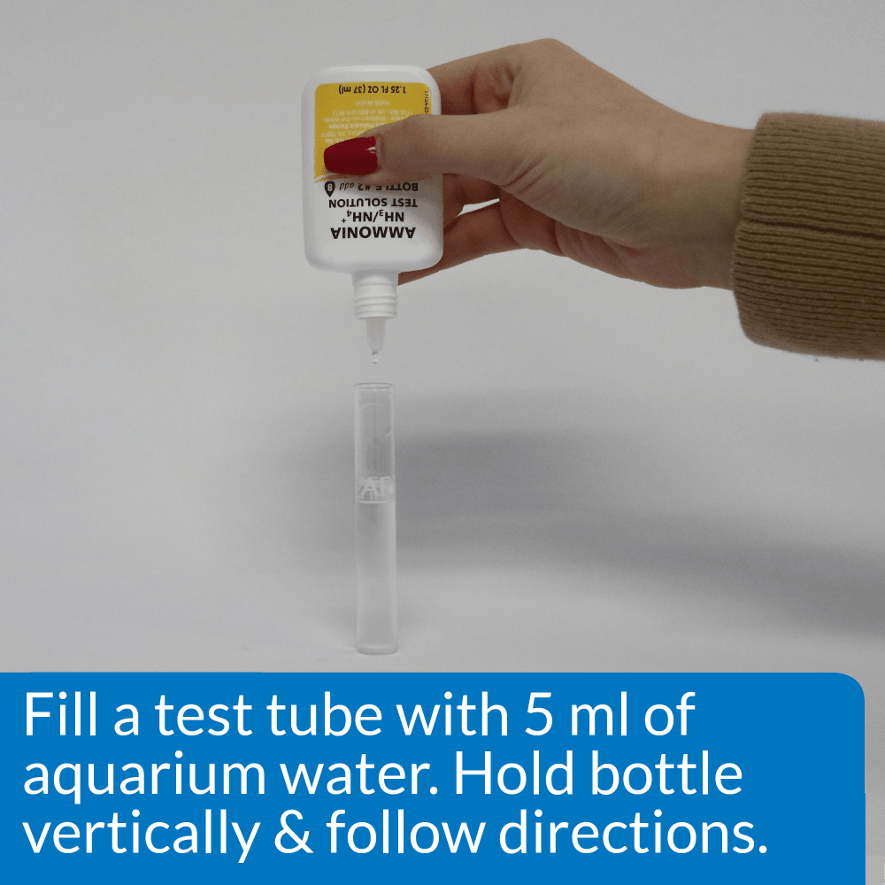 API Ammonia Test Kit in use: filling the test tube with 5ml of aquarium water