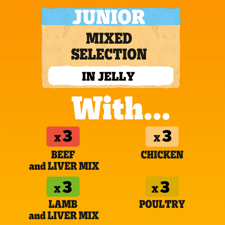 Pedigree Junior Mixed Selection in Jelly varieties: 3 beef and liver, 3 chicken, 3 lamb and liver, 3 poultry