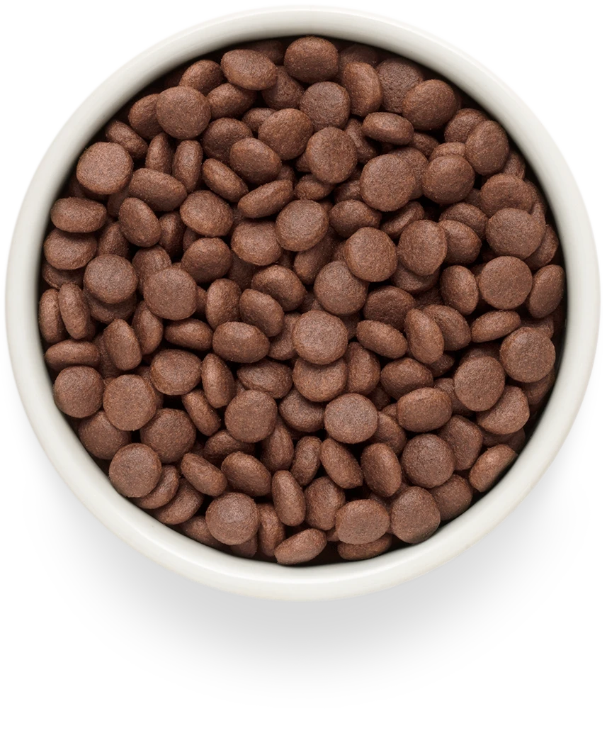 Grandorf Fresh Lamb & Sweet Potato Adult Medium & Maxi kibble in a bowl
