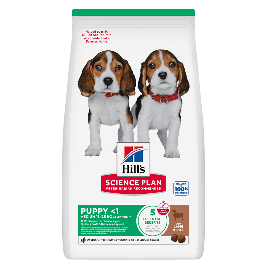 Hill's Science Plan Puppy Medium Breed with Lamb & Rice dry dog food, front of pack