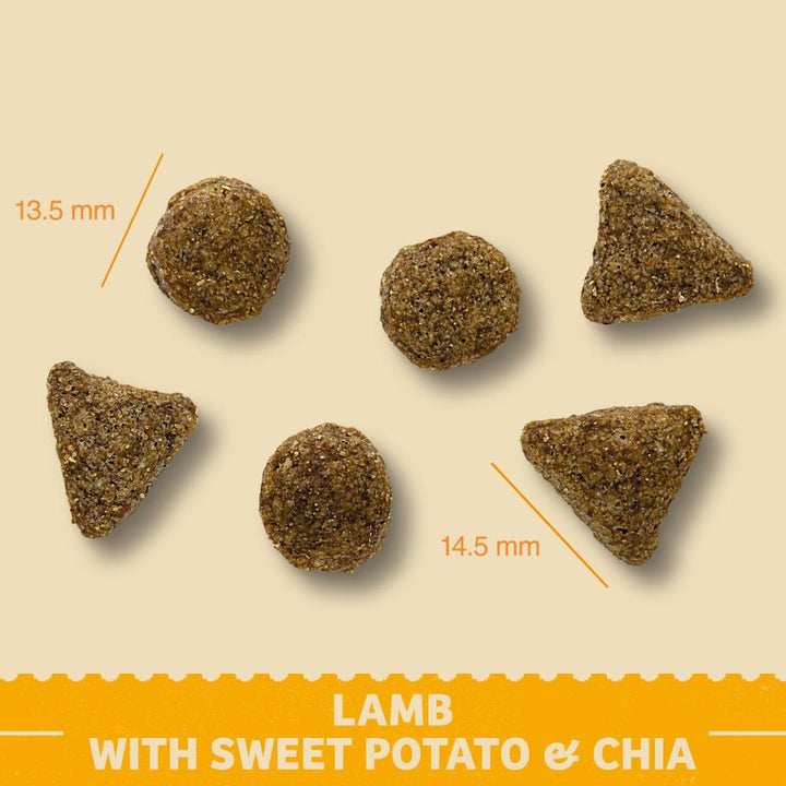 lamb with sweet potato and chia