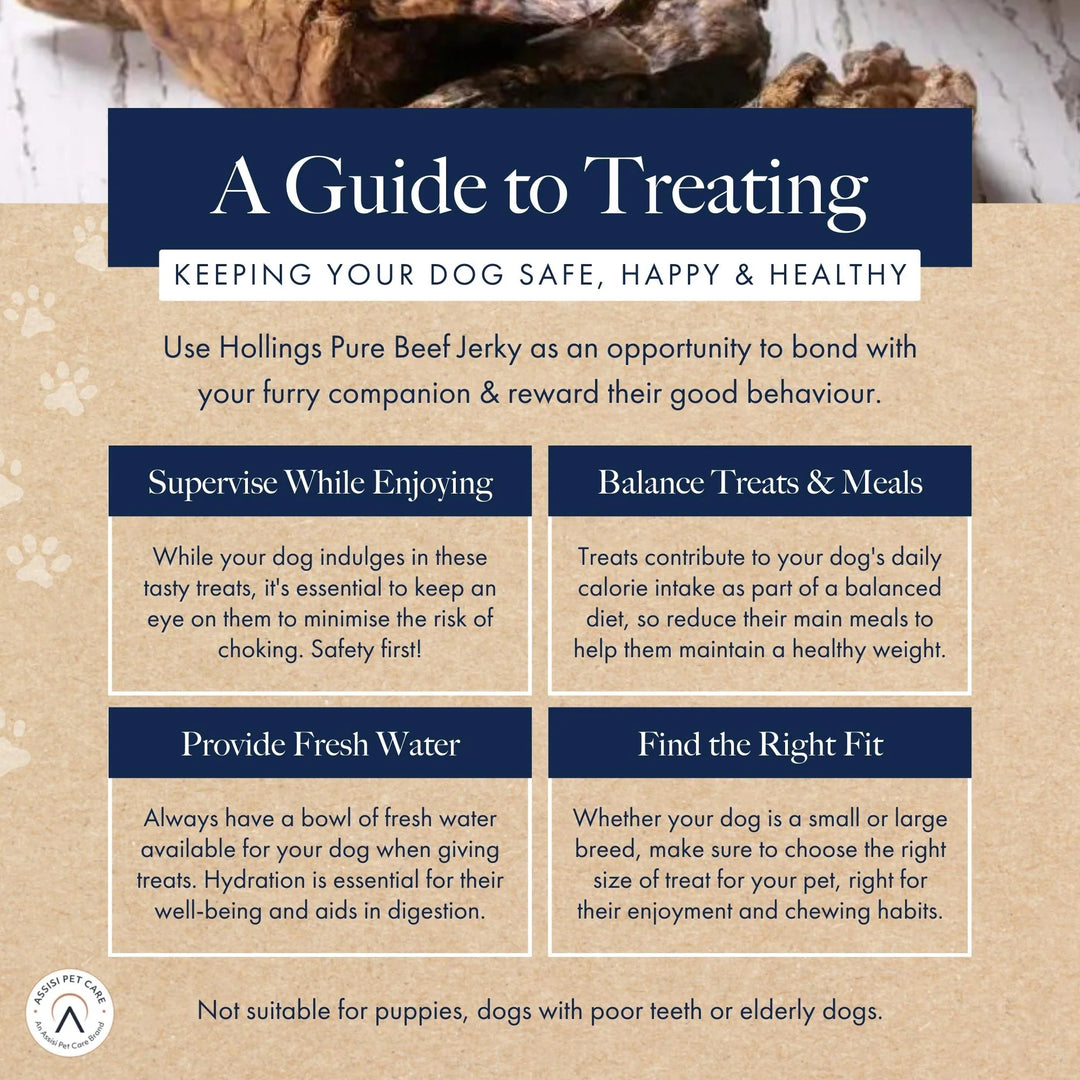 Guide to treating dog 