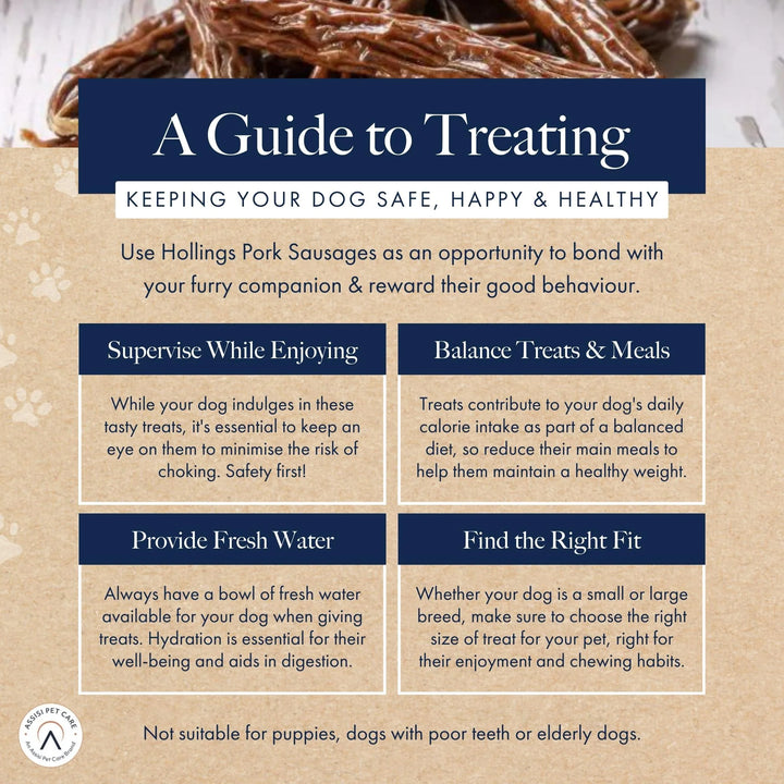 Dog treat guide with tips on safe and healthy pet care