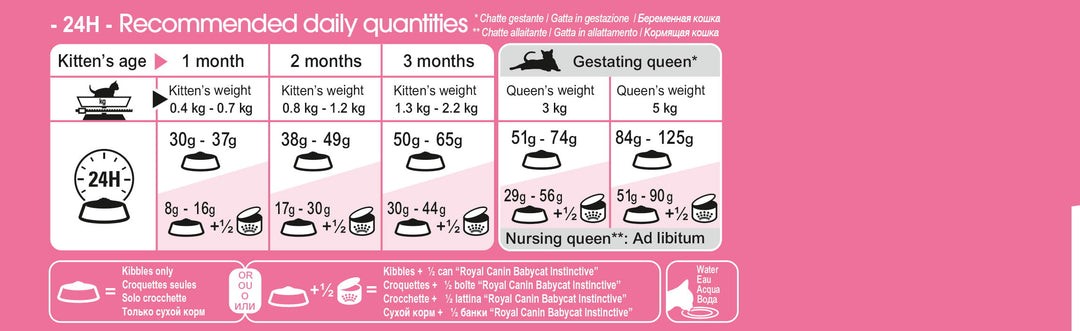 Royal Canin Mother and Baby Cat Food - PetWorld