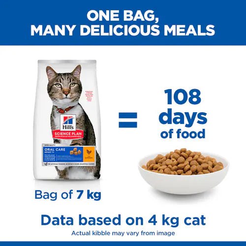 Dry cat food for oral health with chicken

