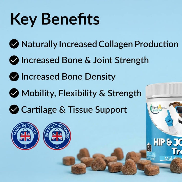 NutriPaw Hip and Joint Plus key benefits: collagen production, bone and joint strength, bone density, mobility, cartilage support