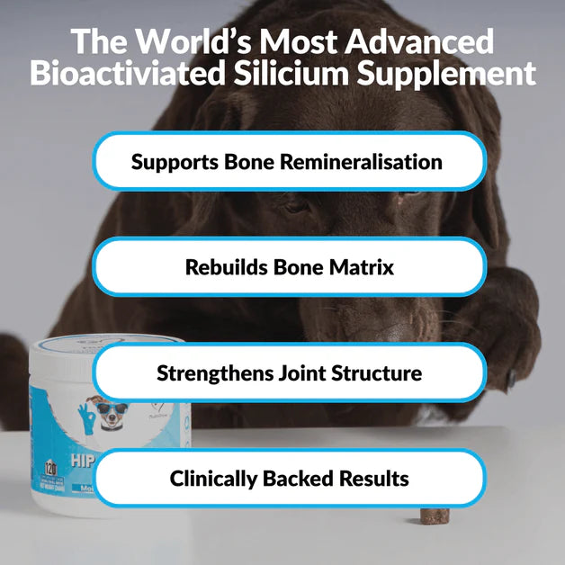 Nutripaw Hip and Joint Plus Treats