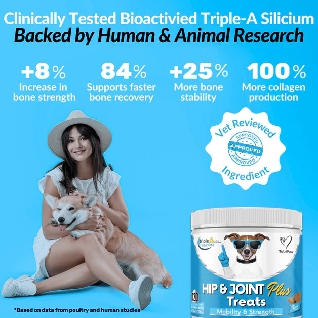 Nutripaw Hip and Joint Plus Treats