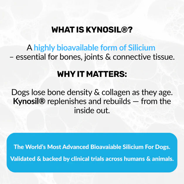 Nutripaw Hip and Joint Plus Treats