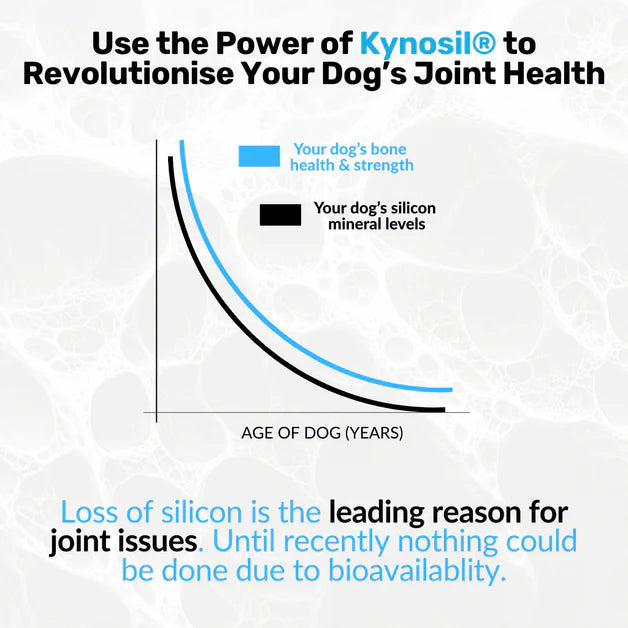 Nutripaw Hip and Joint Plus Treats