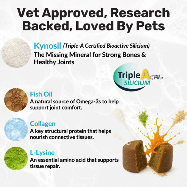 Nutripaw Hip and Joint Plus Treats