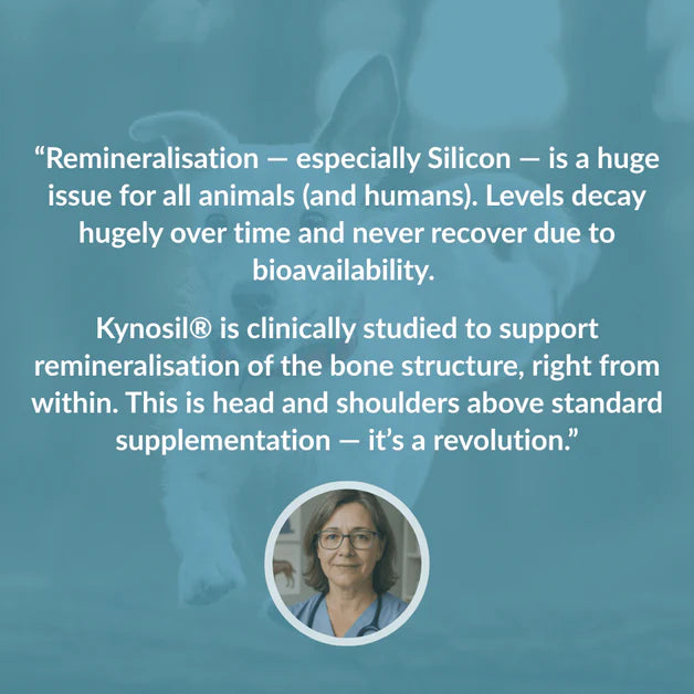 Nutripaw Hip and Joint Plus Treats