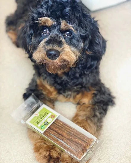 Pure Rabbit Sticks 50g