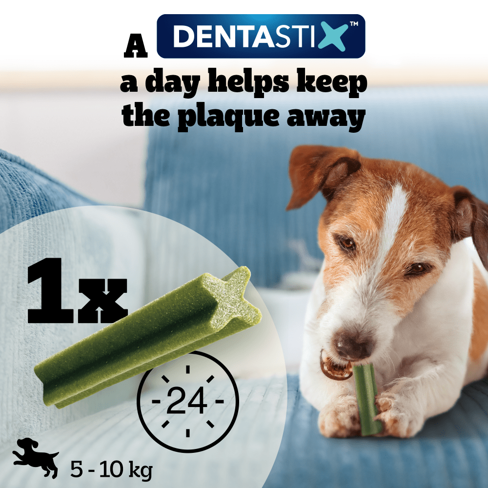 Pedigree Dentastix feeding guide: 1 stick every 24 hours for small dogs 5kg to 10kg