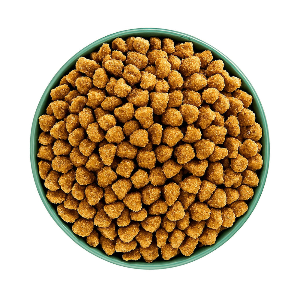 Hypoallergenic dog kibble

