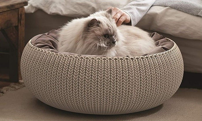 keter pet bed for cats