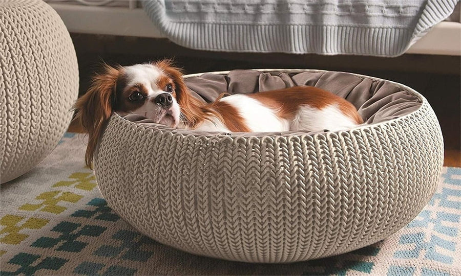 keter pet bed for dog