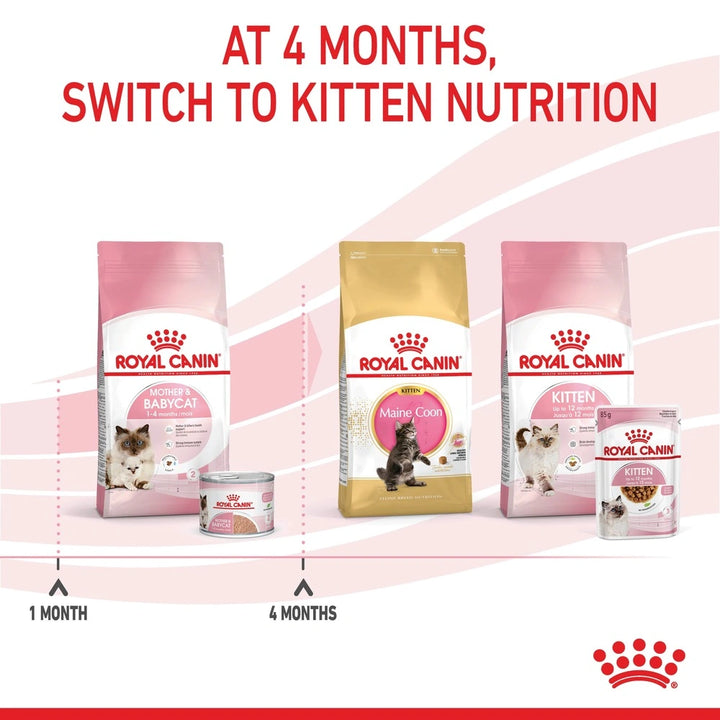 Royal Canin Babycat Instinctive Wet Food 195g – soft mousse for kittens and nursing queens.