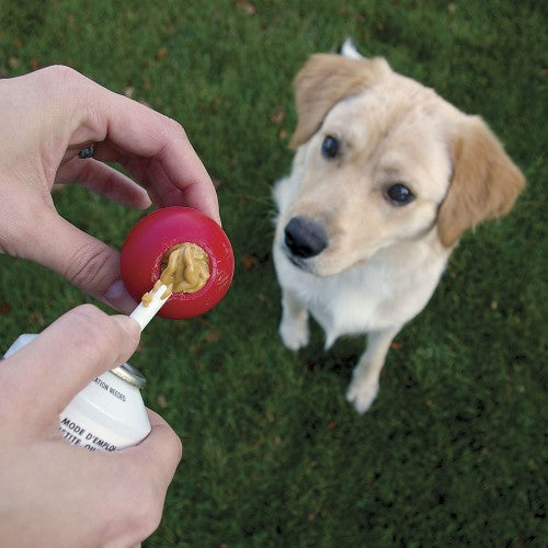 dog getting a treat