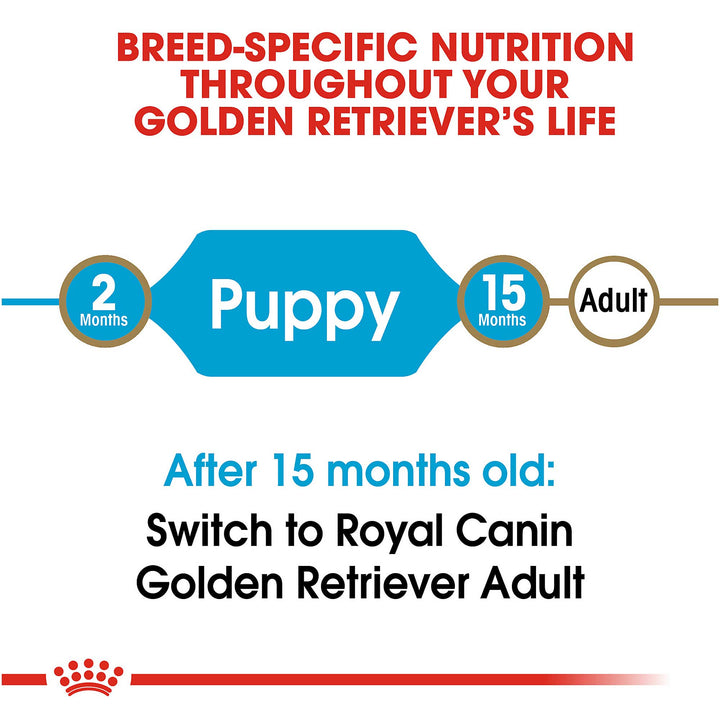 Royal Canin Junior Golden Retriever
