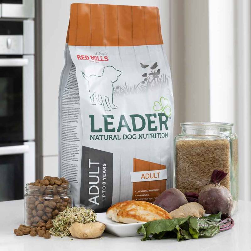leader adult medium dog food