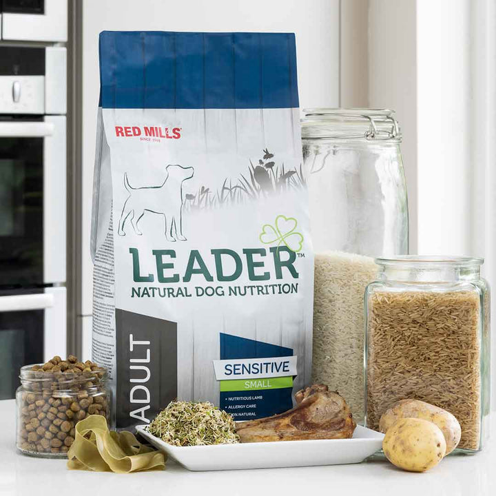 Red Mills Leader Adult Sensitive Small Breed Lamb dog food bag with kibble, lamb and potatoes