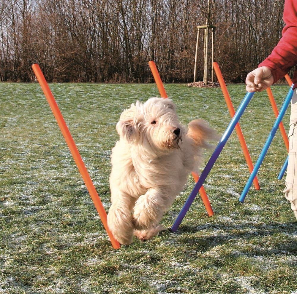 Trixie Dog Activity Agility Slalom - PetWorld