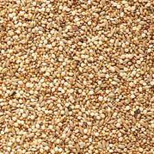 Foreign Finch Seed 1KG