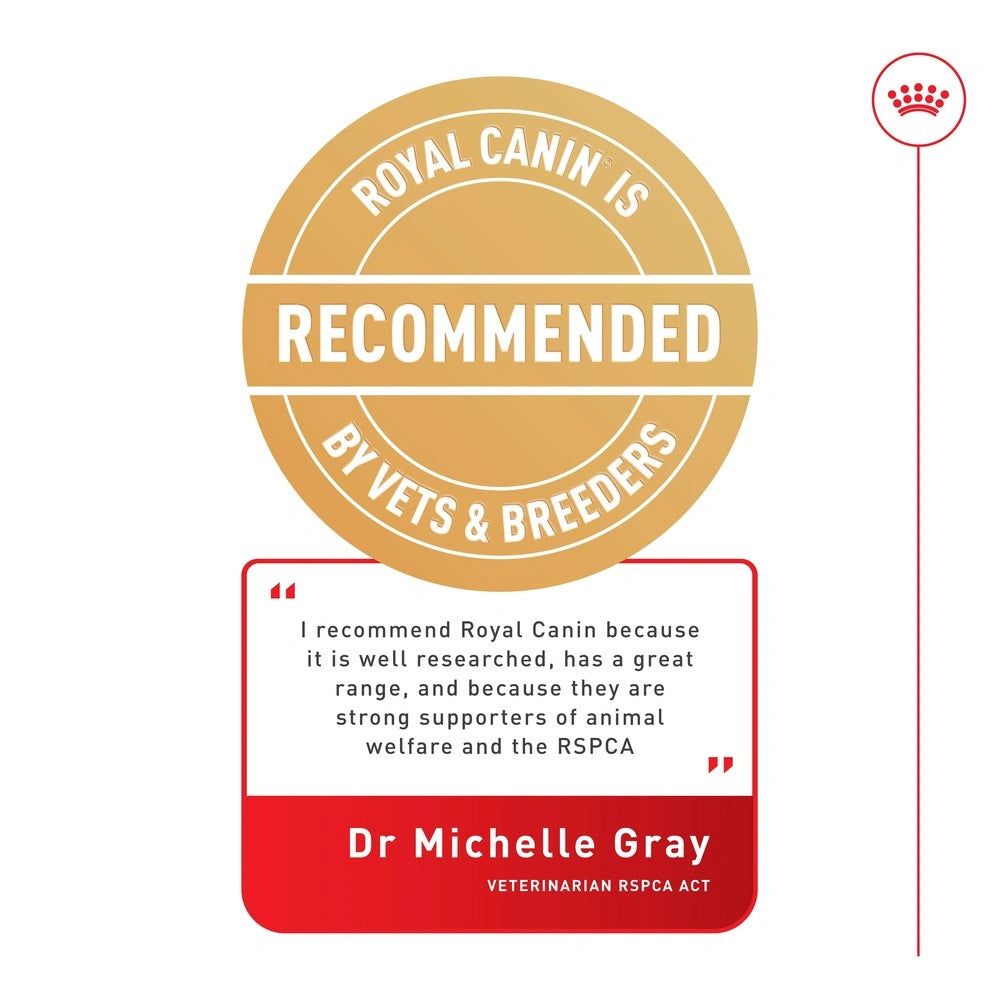 Royal Canin Maxi Adult Dry Dog Food – premium large breed dog food supporting joints, digestion, and coat health.